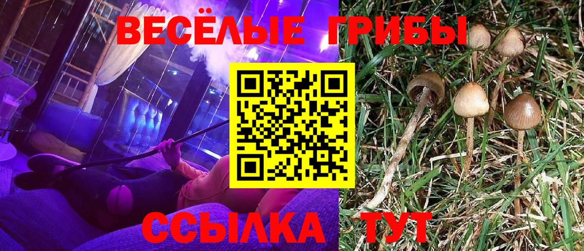 Галлюциногенные грибы прущие грибы Сарапул