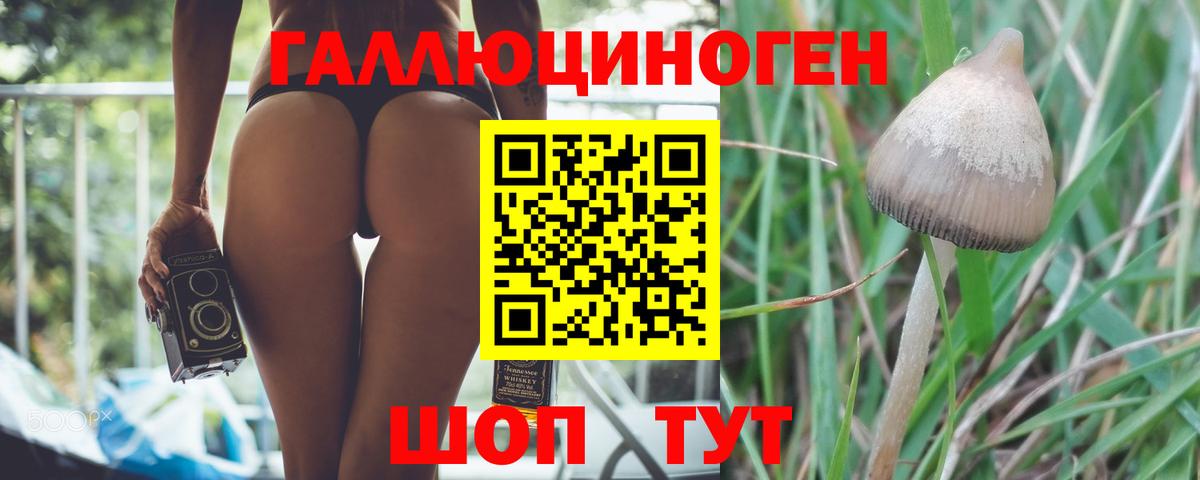 Псилоцибиновые грибы Magic Shrooms  Вход с VPN  Сарапул 
